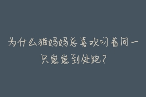 为什么猫妈妈总喜欢叼着同一只崽崽到处跑?-动物百科