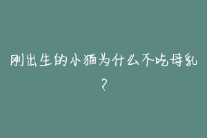 刚出生的小猫为什么不吃母乳?-动物百科