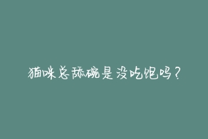 猫咪总舔碗是没吃饱吗?-动物百科