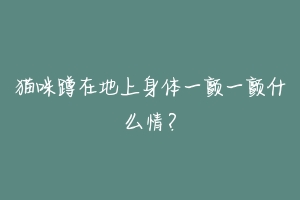 猫咪蹲在地上身体一颤一颤什么情?-动物百科