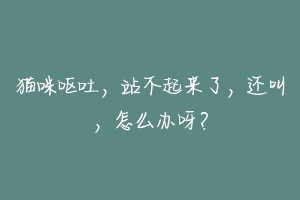 猫咪呕吐,站不起来了,还叫,怎么办呀?-动物百科