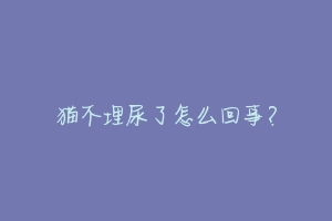猫不埋尿了怎么回事?-动物百科