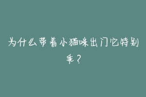 为什么带着小猫咪出门它特别乖?-动物百科