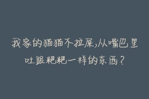 我家的猫猫不拉屎,从嘴巴里吐跟粑粑一样的东西?-动物百科