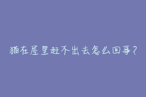 猫在屋里赶不出去怎么回事?-动物百科