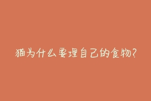 猫为什么要埋自己的食物？-动物百科