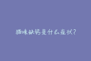 猫咪缺钙是什么症状?-动物百科