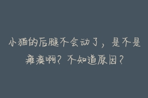 小猫的后腿不会动了,是不是瘫痪啊?不知道原因?-动物百科