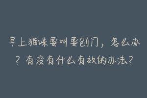 早上猫咪要叫要刨门,怎么办?有没有什么有效的办法?-动物百科