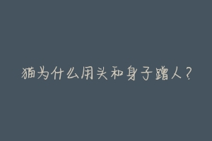 猫为什么用头和身子蹭人？-动物百科