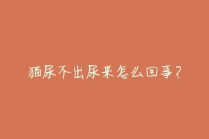 猫尿不出尿来怎么回事？-动物百科
