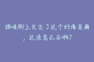 猫咪脚上长出了这个好像是癣,这该怎么办啊?-动物百科