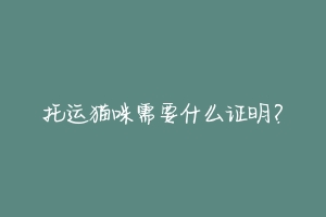 托运猫咪需要什么证明?-动物百科
