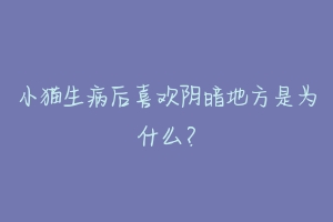 小猫生病后喜欢阴暗地方是为什么?-动物百科