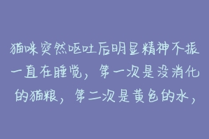 猫咪突然呕吐后明显精神不振一直在睡觉,第一次是没消化的猫粮,第二次是黄色的水,第三次是白色的泡沫?-动物百科
