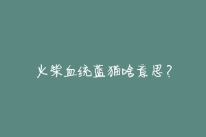 火柴血统蓝猫啥意思?-动物百科