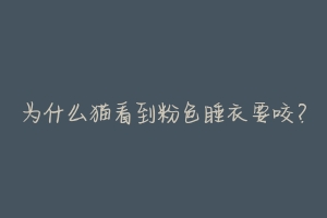 为什么猫看到粉色睡衣要咬?-动物百科