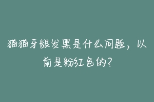 猫猫牙龈发黑是什么问题,以前是粉红色的?-动物百科