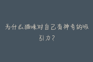 为什么猫咪对自己有神奇的吸引力?-动物百科