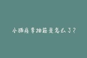 小猫痉挛抽筋是怎么了?-动物百科