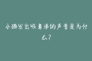 小猫发出吸鼻涕的声音是为什么?-动物百科