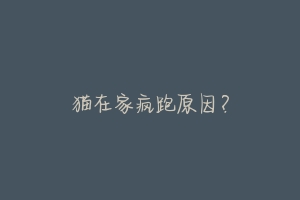 猫在家疯跑原因?-动物百科