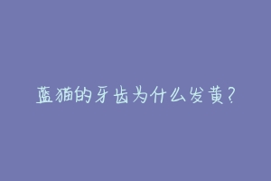 蓝猫的牙齿为什么发黄?-动物百科