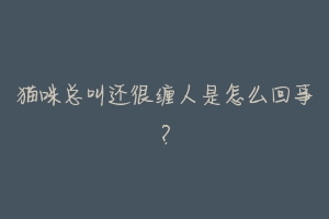 猫咪总叫还很缠人是怎么回事?-动物百科