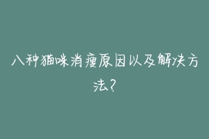八种猫咪消瘦原因以及解决方法?-动物百科
