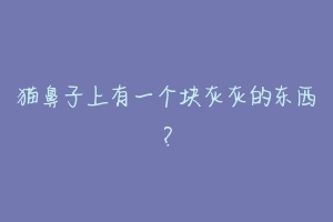 猫鼻子上有一个块灰灰的东西?-动物百科