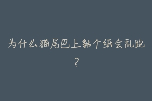 为什么猫尾巴上黏个纸会乱跑?-动物百科