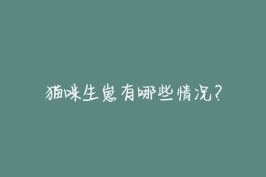 猫咪生崽有哪些情况?-动物百科