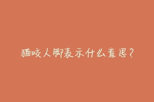 猫咬人脚表示什么意思?-动物百科