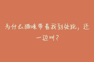 为什么猫咪带着我到处跑,还一边叫?-动物百科