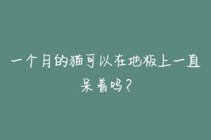 一个月的猫可以在地板上一直呆着吗?