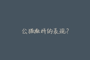 公猫撒娇的表现?