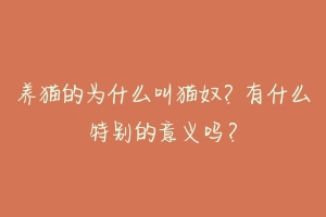 养猫的为什么叫猫奴?有什么特别的意义吗?