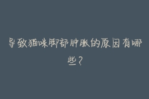 导致猫咪脚部肿胀的原因有哪些?