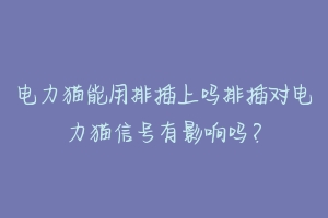 电力猫能用排插上吗排插对电力猫信号有影响吗?
