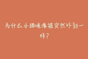 为什么小猫咪像被突然吓到一样?