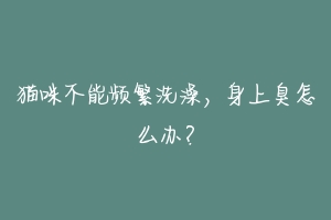 猫咪不能频繁洗澡,身上臭怎么办?
