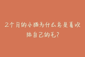 2个月的小猫为什么总是喜欢舔自己的毛?