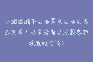 小猫眼睛不会变圆只会变尖怎么回事?从来没有见过我家猫咪眼睛变圆?