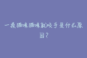 一摸猫咪猫咪就咬手是什么原因?