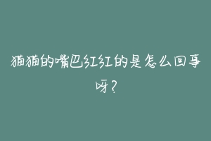 猫猫的嘴巴红红的是怎么回事呀？