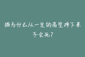 猫为什么从一定的高空摔下来不会死?