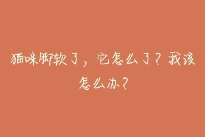 猫咪脚软了,它怎么了?我该怎么办?