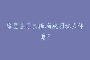 家里养了只猫,每晚打扰人休息？