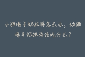小猫喝羊奶拉稀怎么办,幼猫喝羊奶拉稀该吃什么?