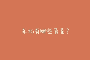 东北有哪些青菜?